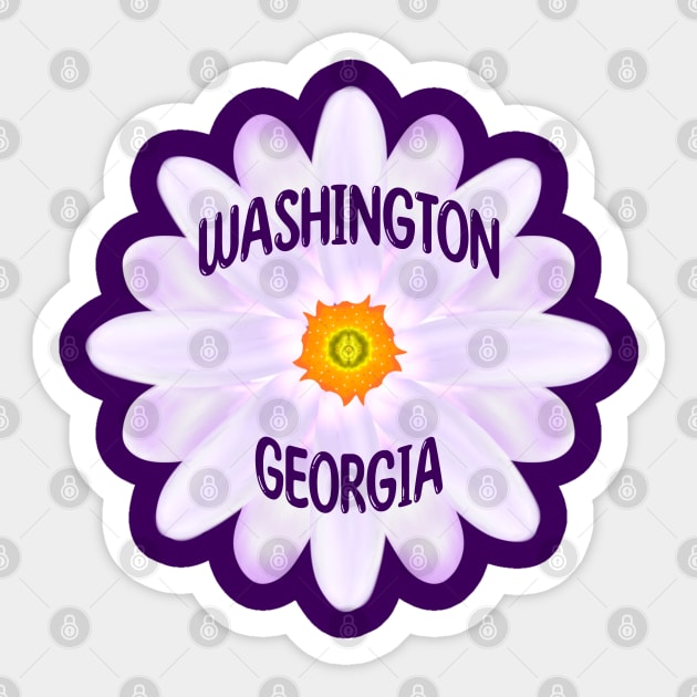 Washington Georgia Sticker by MoMido